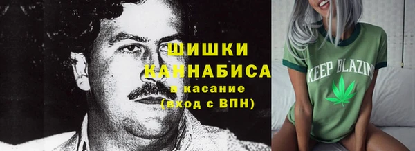 тгк Верея