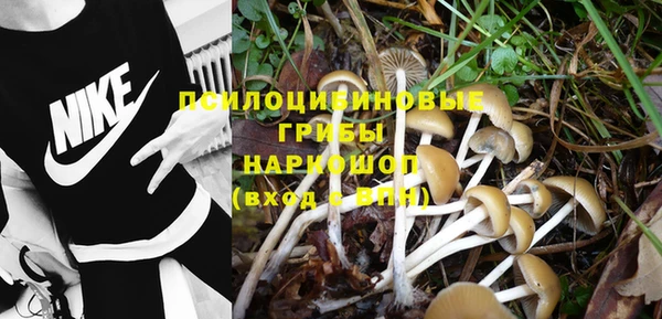 тгк Верея