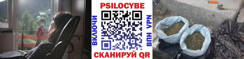 Галлюциногенные грибы GOLDEN TEACHER  Купить  Приволжск 